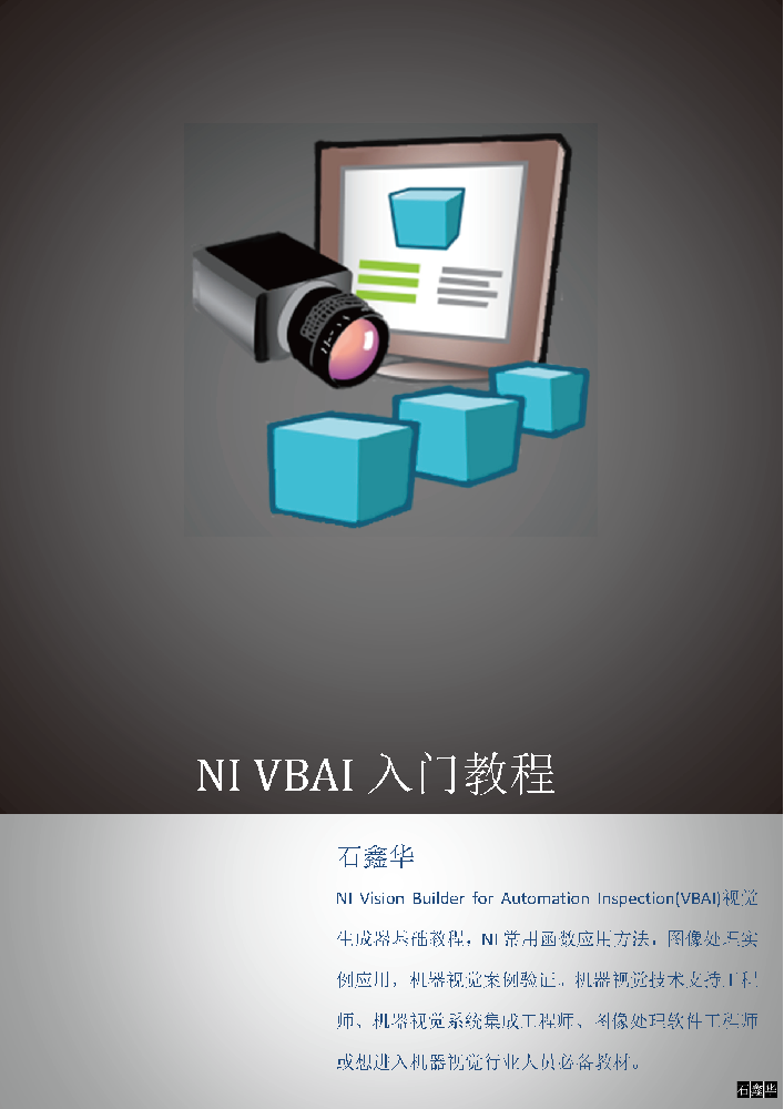 NI VBAI入门教程 - 封面.png